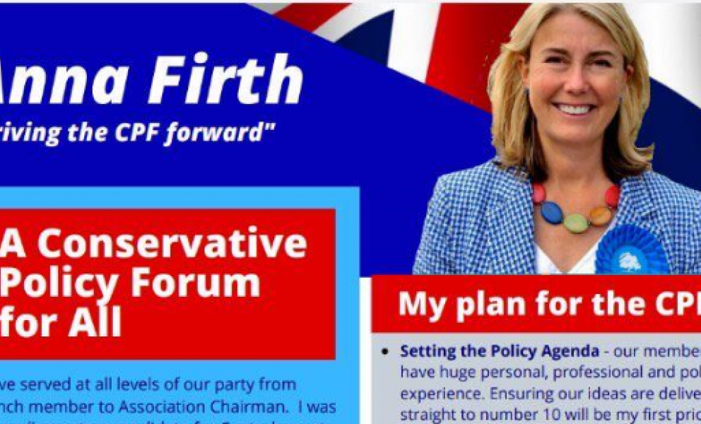 Anna Firth Policy Plan