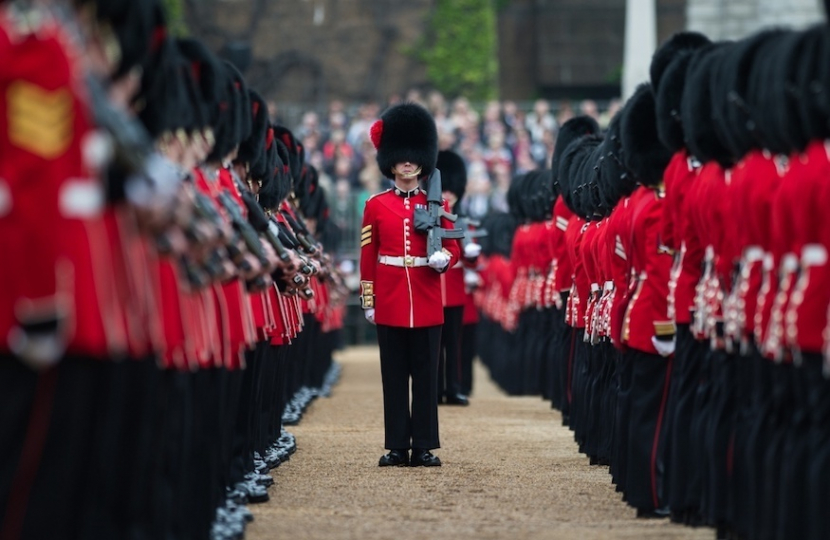 Household Division wearing Bearskins