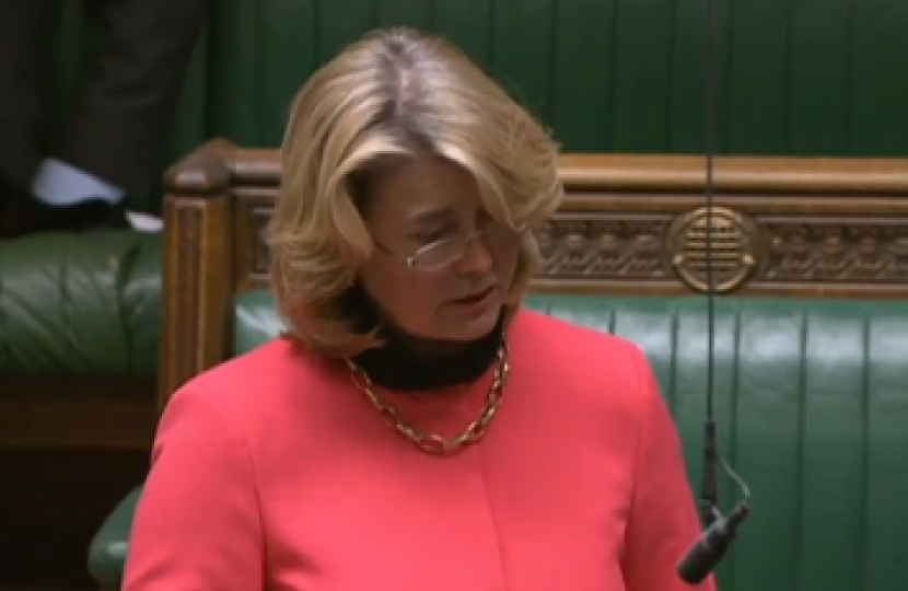 Anna speaking in the House of Commons chamber