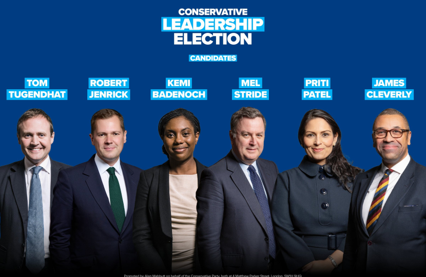 Conservative Leadership Candidates