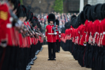 Household Division wearing Bearskins