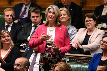 Anna Firth in Parliament - picture credit UK Parliament/Jessica Taylor 