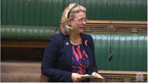 Anna speaking in the Chamber