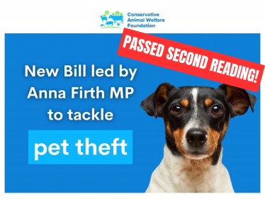 Graphic showing that Anna Firth MP's Bill has passed its second reading 